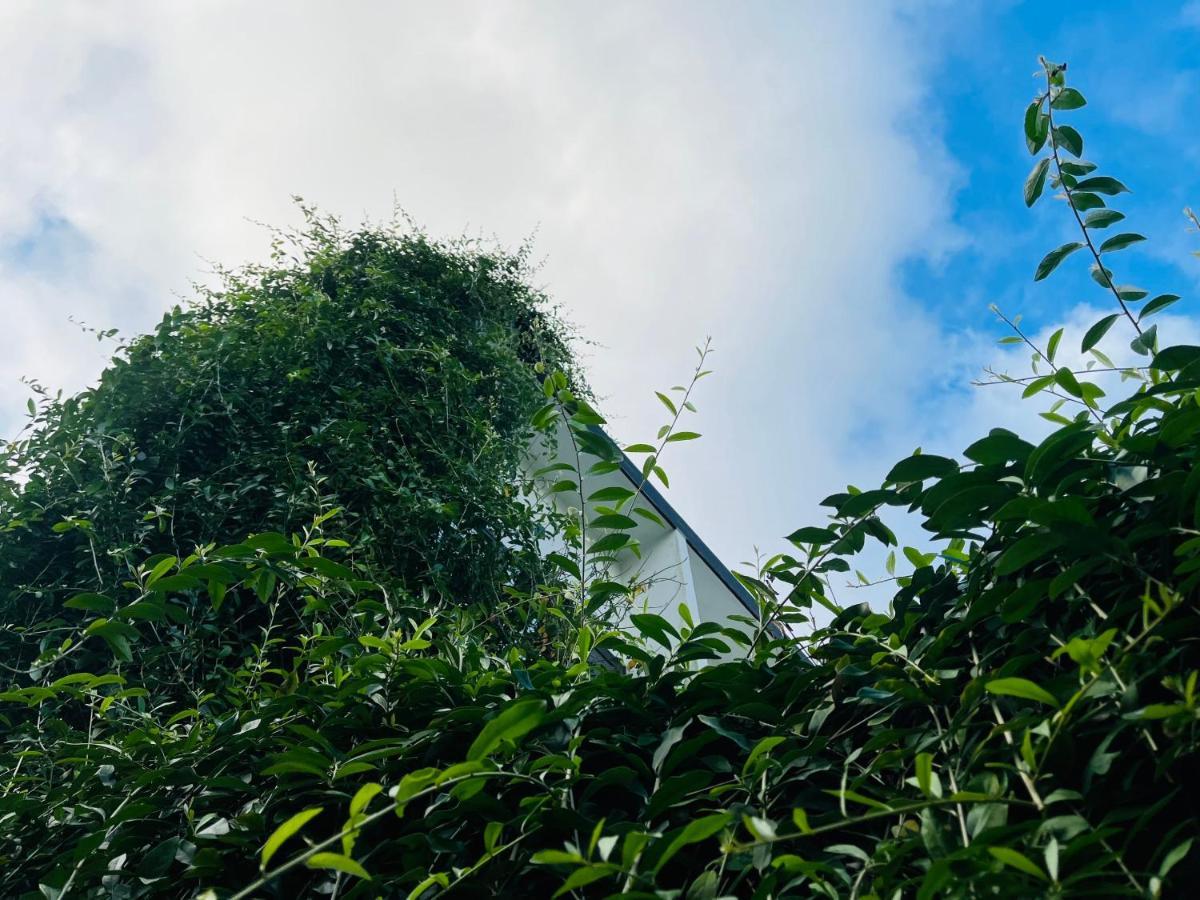 Coto Center Homestay Dao Co To Bagian luar foto